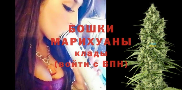 PSILOCYBIN Кукмор