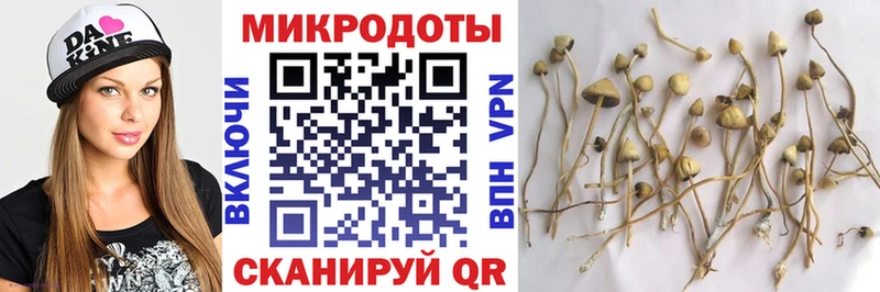 mega рабочий сайт  Инза  Псилоцибиновые грибы ЛСД  купить наркотики цена 